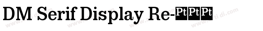 DM Serif Display Re字体转换